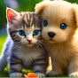 Cats, Kittens, Dogs and other Cute Animals.