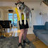 mvh2IZbynJw-channel-avatar-JustJackTV