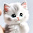 @raniagaber1804