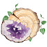fvc_VMH3qm0-channel-avatar-Oak & Amethyst
