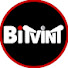 Ua_RaSPczaU-channel-avatar-Bitvint