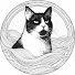 Yt7y9xHwFgU-channel-avatar-Lazy_catt