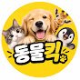 동물킥