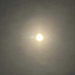 短足チャンネル