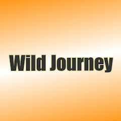 Channel thumbnail for Wild Journey