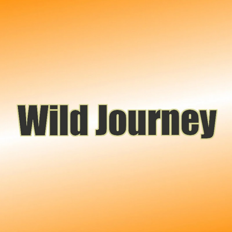 Wild Journey icon