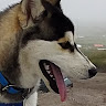 Автор