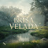 aaQt_b49bvU-channel-avatar-Brisa Velada