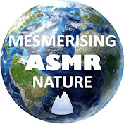 Mesmerising ASMR Nature
