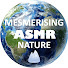 0cFWvbgdQN8-channel-avatar-Mesmerising ASMR Nature