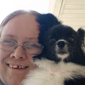 the animal lover channel 