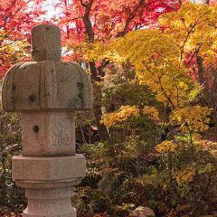 新潟県長岡市殿町ライブカメラアイコン画像