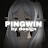 @PINGWIN0001