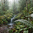 X8ZSCWYgngs-channel-avatar-Natural rainfall 