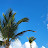 @catva_usr201paradis3