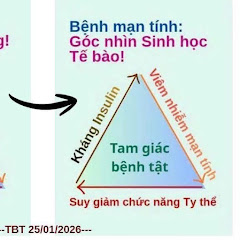 Y Học Lối Sống