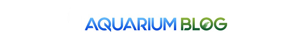 Aquarium Blog YouTube channel avatar