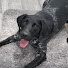 7nEJ0K1nHUY-channel-avatar-BenGrilling 