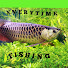 1G_T7eR7_I4-channel-avatar-Everytime Fishing
