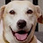 @zaphodrahja's avatar