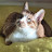 @노랑고양이-n6u