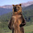 @BearWithMeHere1