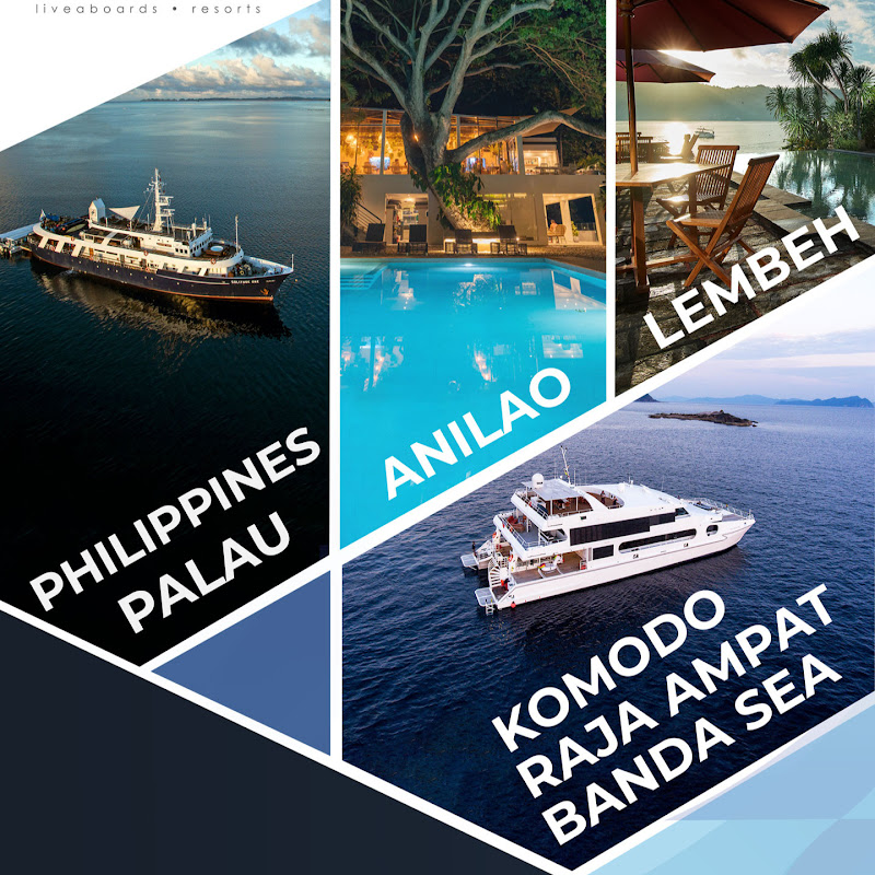 solitudeliveaboardsresorts