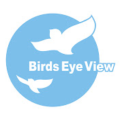 Birds Eye View