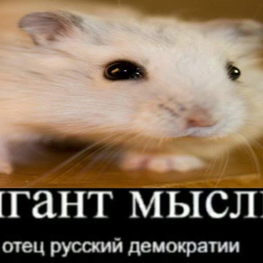 チャンネル画像