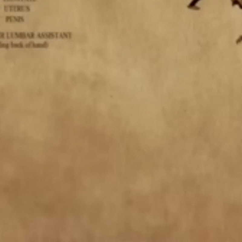 studiohdjhdd