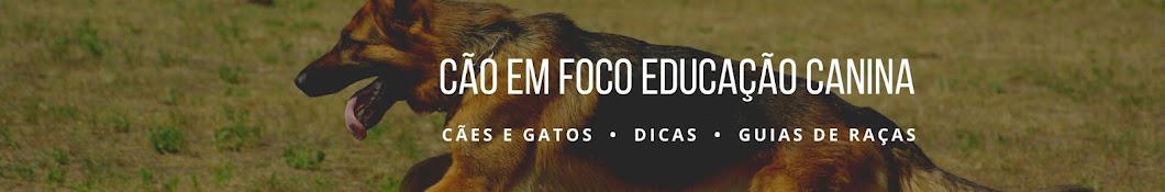 CÃ£o em Foco EducaÃ§Ã£o Canina Аватар канала YouTube