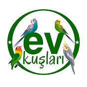 EV KUŞLARI (Home birds)