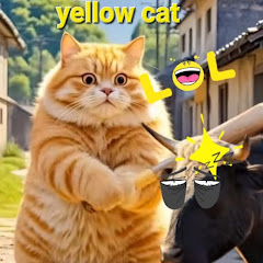 Orange Cat