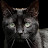 @Lighting21159 Avatar