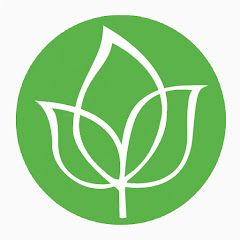 Lazarev Sergey Official Channel net worth