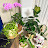 @Monstera-kim