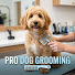 TjLfLZ8pvl0-channel-avatar-Pro Dog Grooming 