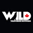 PhVNShZC1TU-channel-avatar-Wild TV