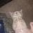 @b0rris3697 Avatar