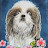 @daisy-gq3ph