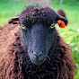 Czech Ouessant Sheep logo