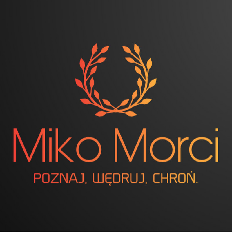 Miko Morci 