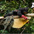 ou1wShSDyNo-channel-avatar-Duong Finds Honey
