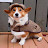 @French_corgi