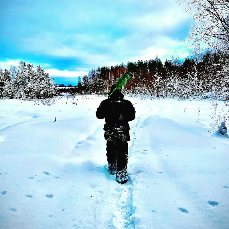 ОДИН В ЛЕСУ. Logo