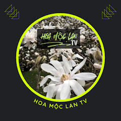 Hoa Mộc Lan TV 