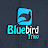 Bluebird Trivo