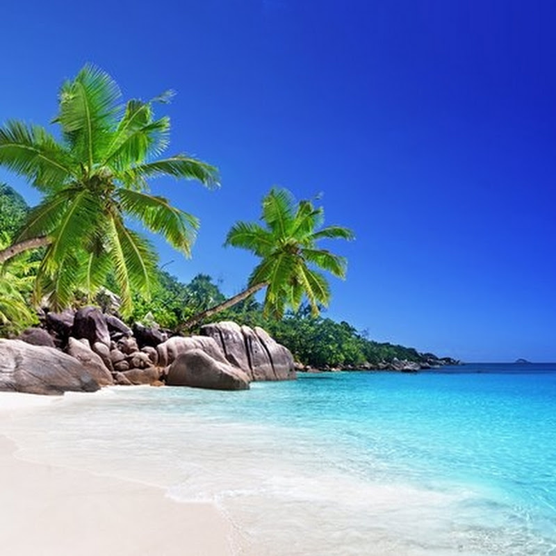 Relaxing Escapes