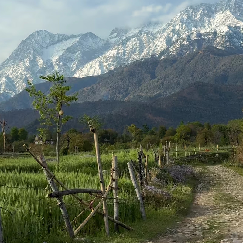 Himalayan Stuff