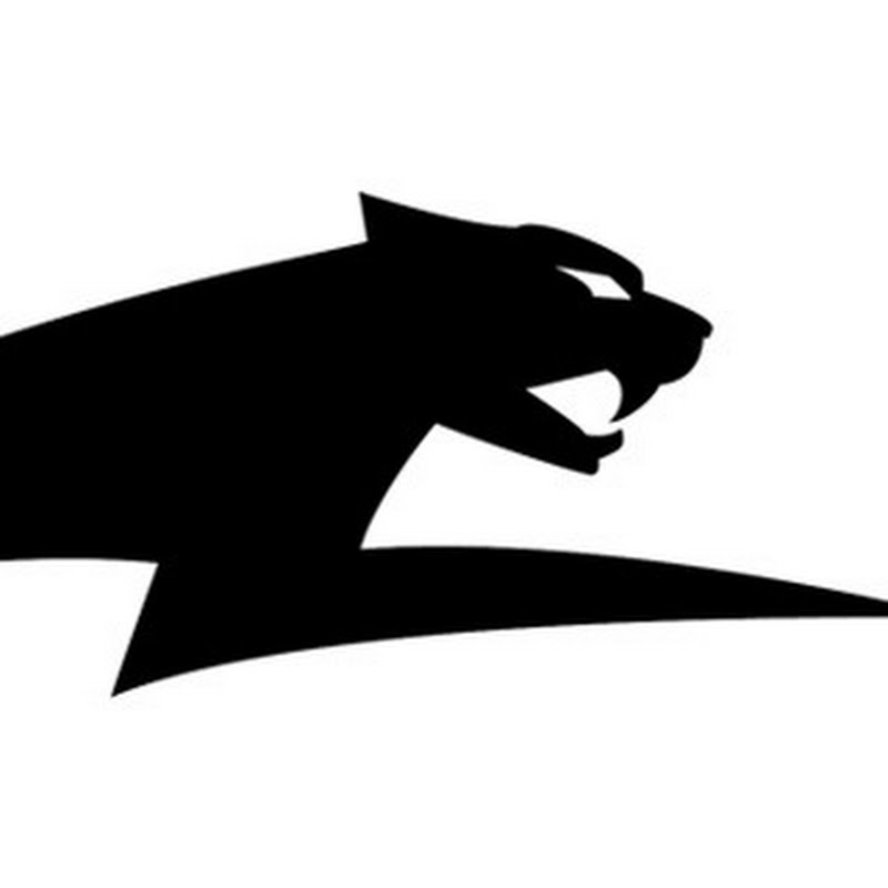 Arctic Cat Snowmobiles
